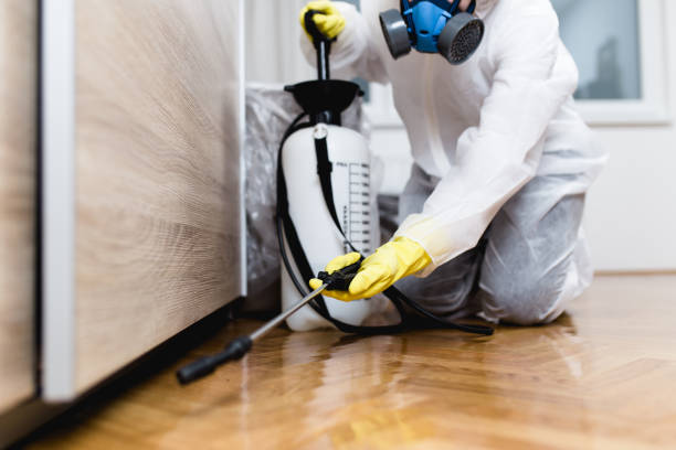 Best Pest Inspection Near Me  in Milton, NY