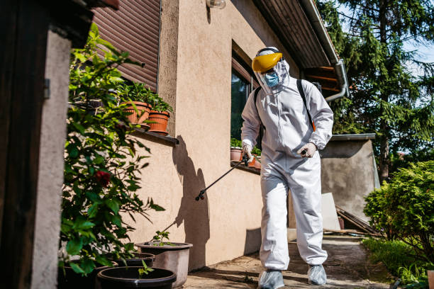 Best Rat Extermination Near Me  in Milton, NY