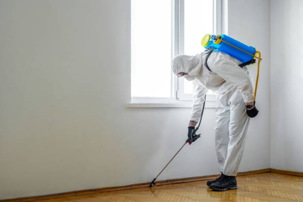 Best Emergency Pest Control  in Milton, NY