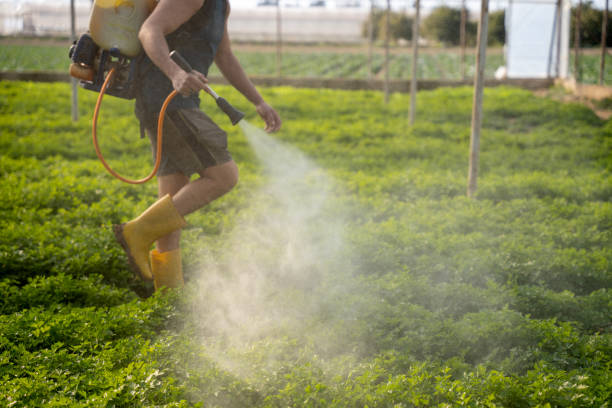 Best Pest Control Cost  in Milton, NY