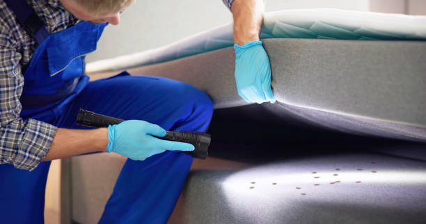 Best Flea Control Services  in Milton, NY