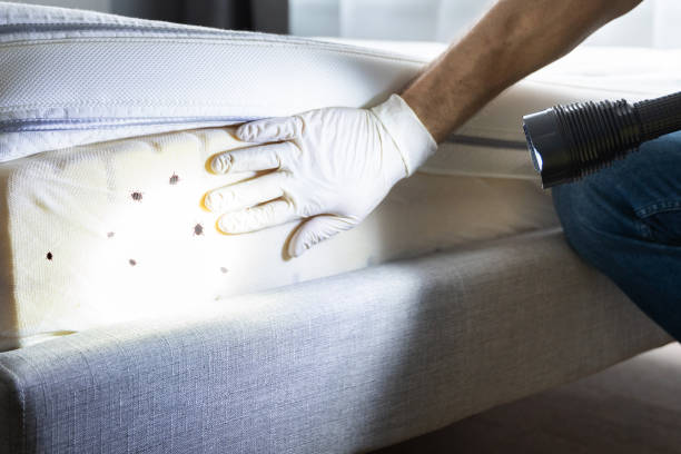Trusted Milton, NY Pest Control Experts