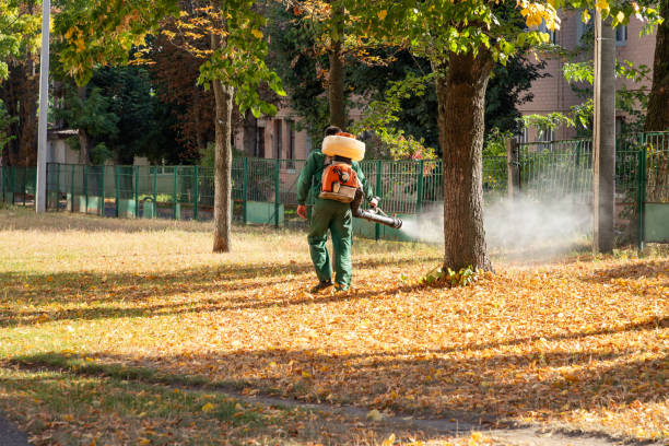 Best Mosquito Control Services  in Milton, NY