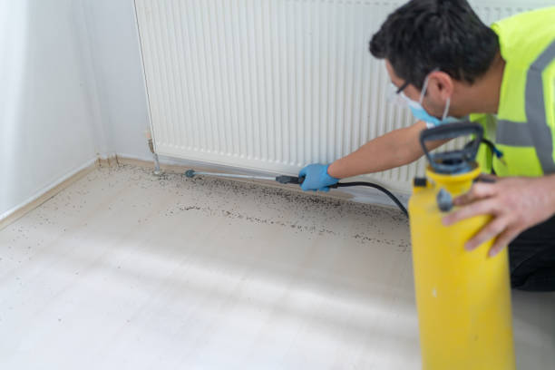 Best Ant Control Services  in Milton, NY